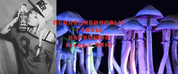 хмурый Алексин
