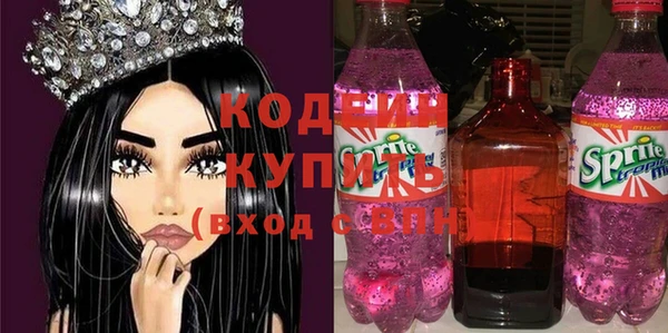 хмурый Алексин